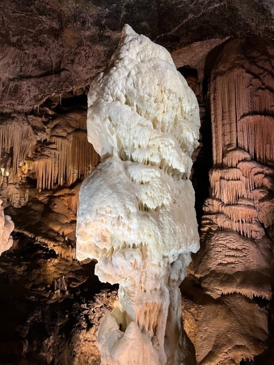 Postojna Cave, Predjama Castle, Ljubljana