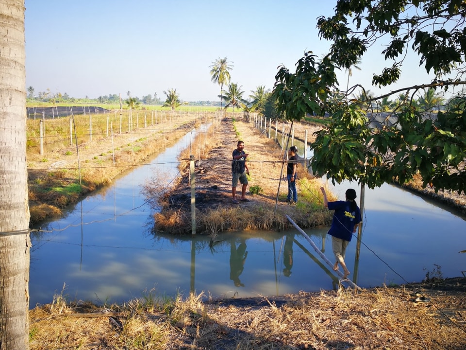 Khlong Yong community, rice paddies of Nakhon Pathom, Garden of Bangkok