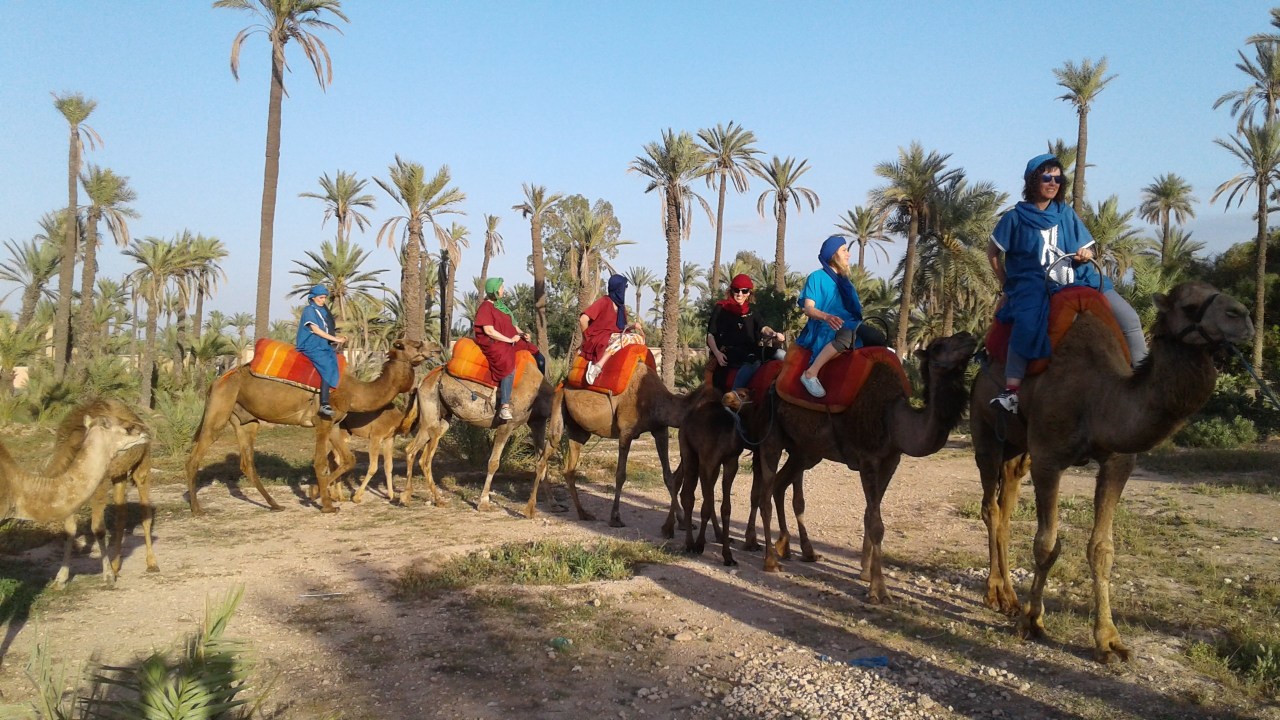 Palmeraie, palm groves and Berber villages, Bedouin tent