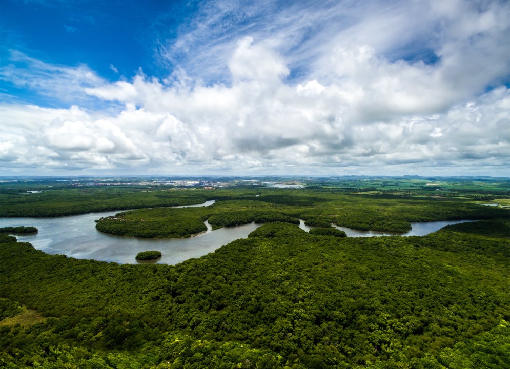 Monkey Island mangroves, Yanayacu tributary lagoons, Palo Alto Mirador observation decks