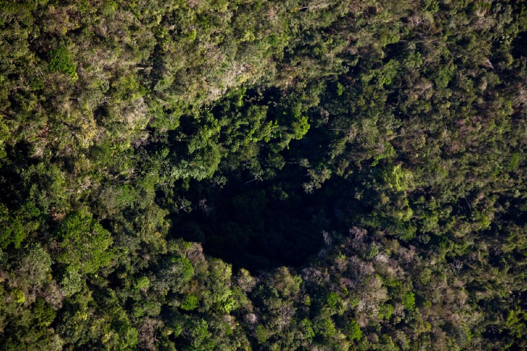 Actun Loch Tunich, the Black Hole, rainforest canopy