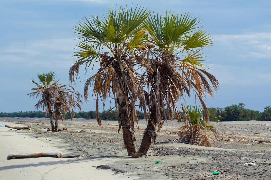 Jinka villages, Turmi markets, Lake Turkana lakeside camping