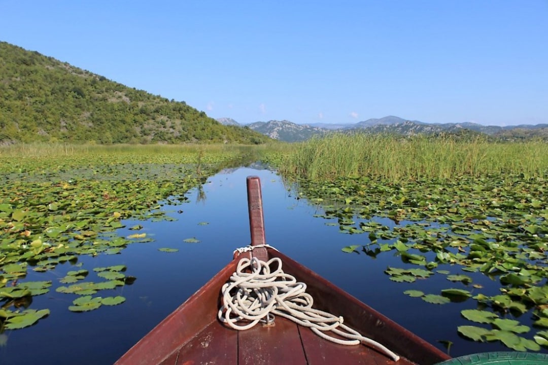 Skadar Lake, Plavnica waters, Golubovci Urban Municipality shoreline