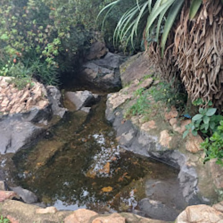 The Wilds Nature Reserve, indigenous gardens, the sundial at the peak