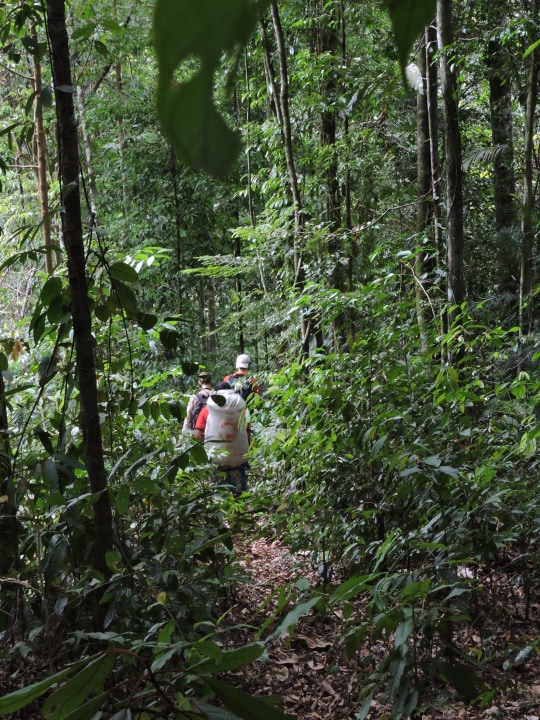 Sumatra's Leuser rainforest, Gunung Leuser National Park, remote waterfall