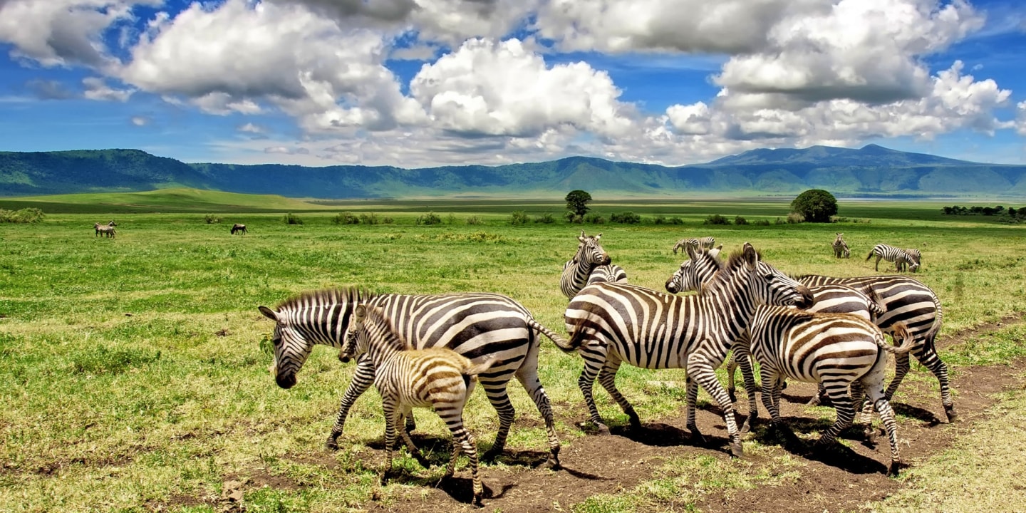 Tarangire National Park, Baobab trees, sunrise hot air balloon safari
