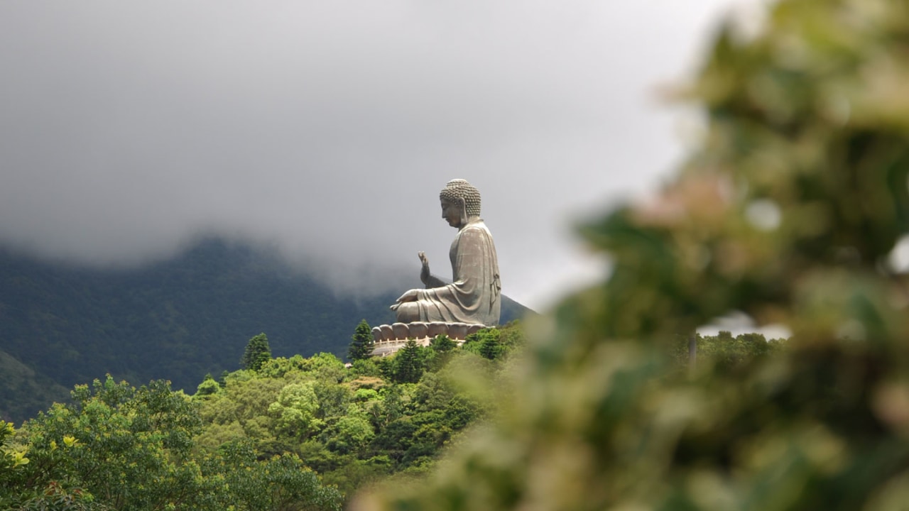 Ngong Ping Cable Car, Big Buddha, Tai O stilt houses