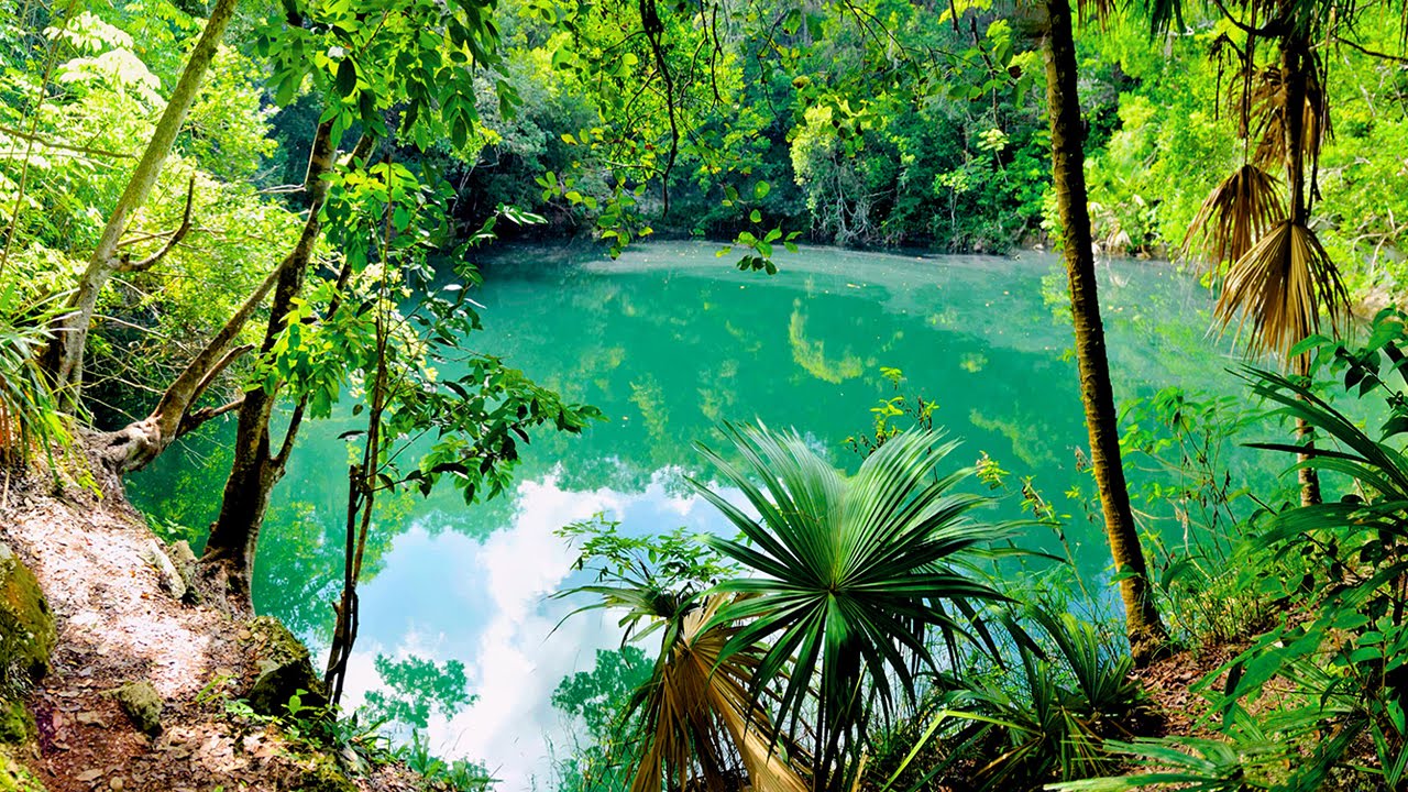 Tulum Ruins, Cenote Swim, Nohoch Mul, Mayan jungle