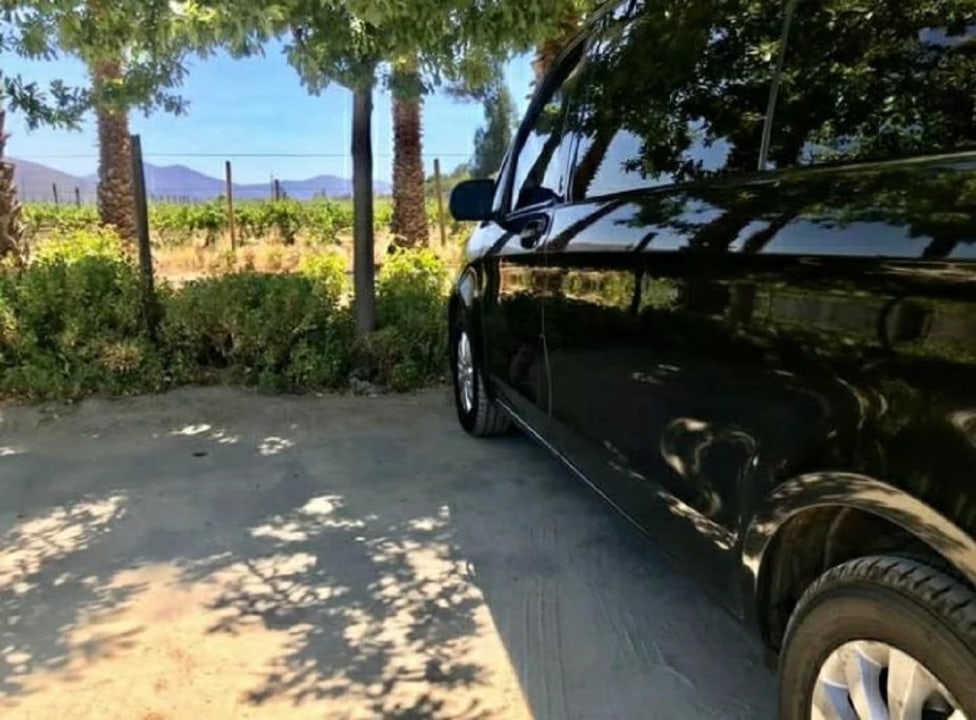 Casablanca Valley, Emiliana Organic Vineyard, Tanino Restaurant - Casas del Bosque Winery