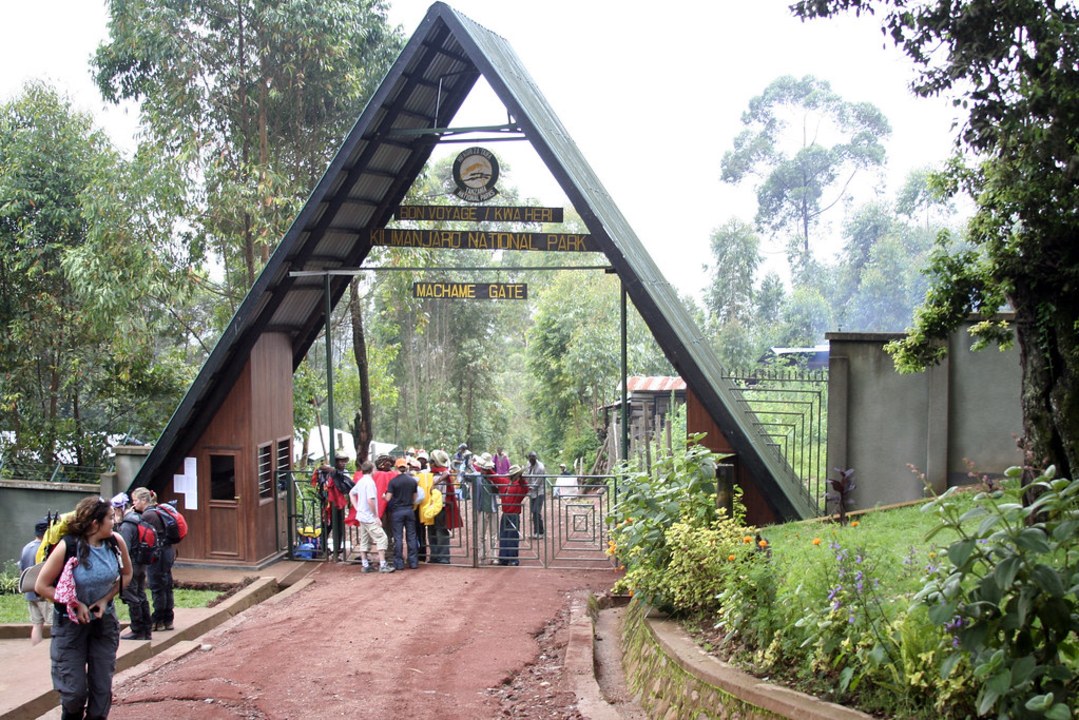 Machame forest, Lava Tower ridge, Uhuru Peak summit