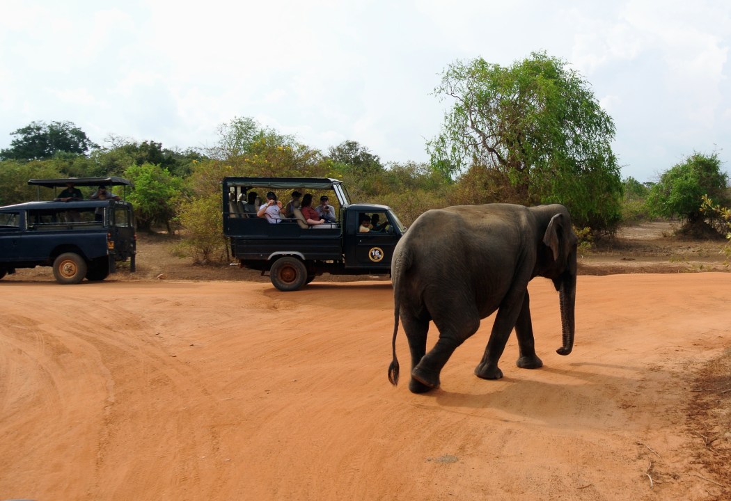 Sigiriya, Dambulla Cave Temple, Nine Arch Bridge, Yala National Park