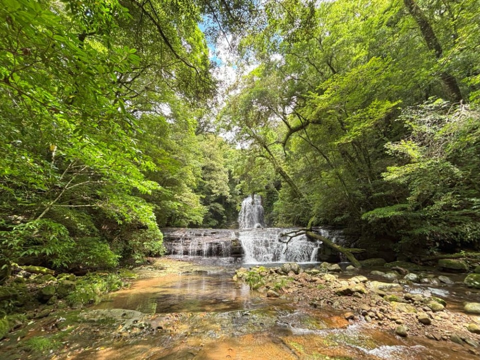 Inohae Valley, Inohae River, moss-covered rocks and evergreen oak trees