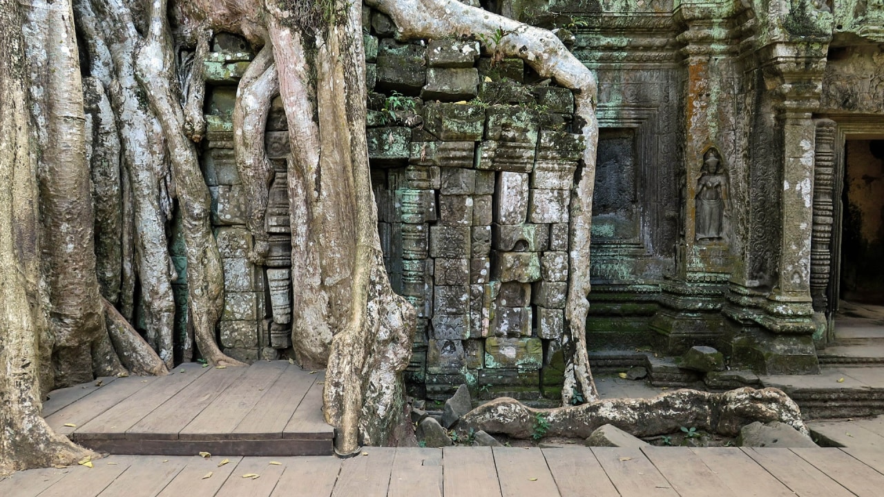 Angkor Wat at sunrise, Ta Prohm Temple's tree-entwined galleries, Bayon Temple's 196 Faces of Buddha, Angkor Thom old city