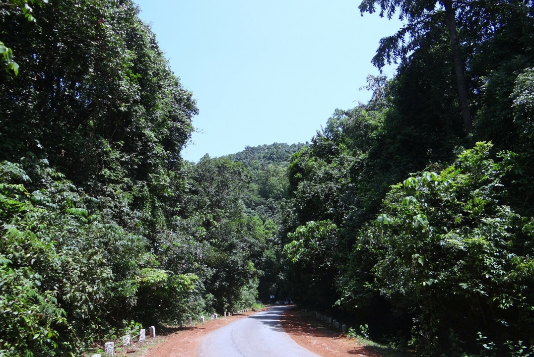 Kas Plateau, Sahyadri Mountains, Pune