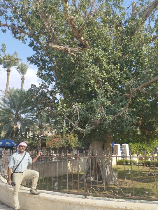 Jericho, Hisham's Palace (home to the largest mosaic), Jordan River
