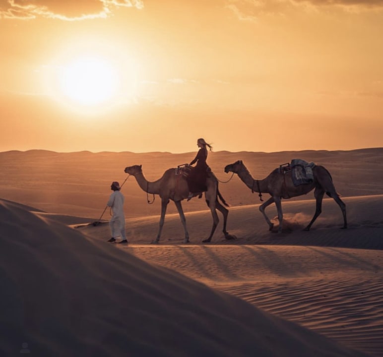Wadi Dawkah frankincense trees, the lost city of Ubar, Salalah desert dunes