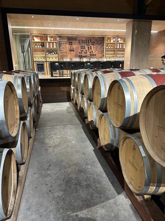 Casablanca Valley vineyards, Bodegas RE underground cellar, Casas del Bosque estate