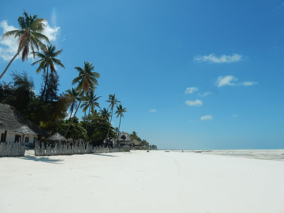 Stone Town, Old Fort, Jozani Chwaka Bay National Park