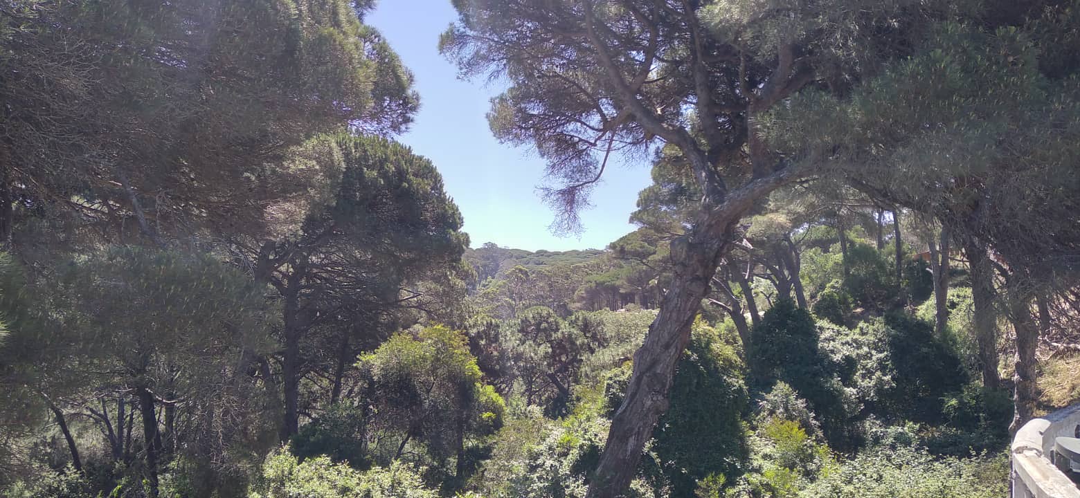 Perdicaris Park, Mediterranean Coast, Strait of Gibraltar, Tangier Medina