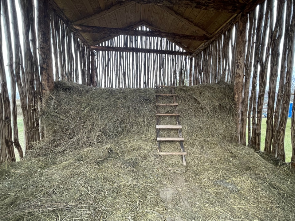 Klushino, Klushino spring, Museum of the First Flight, The house-museum of Yuri Gagarin's school years
