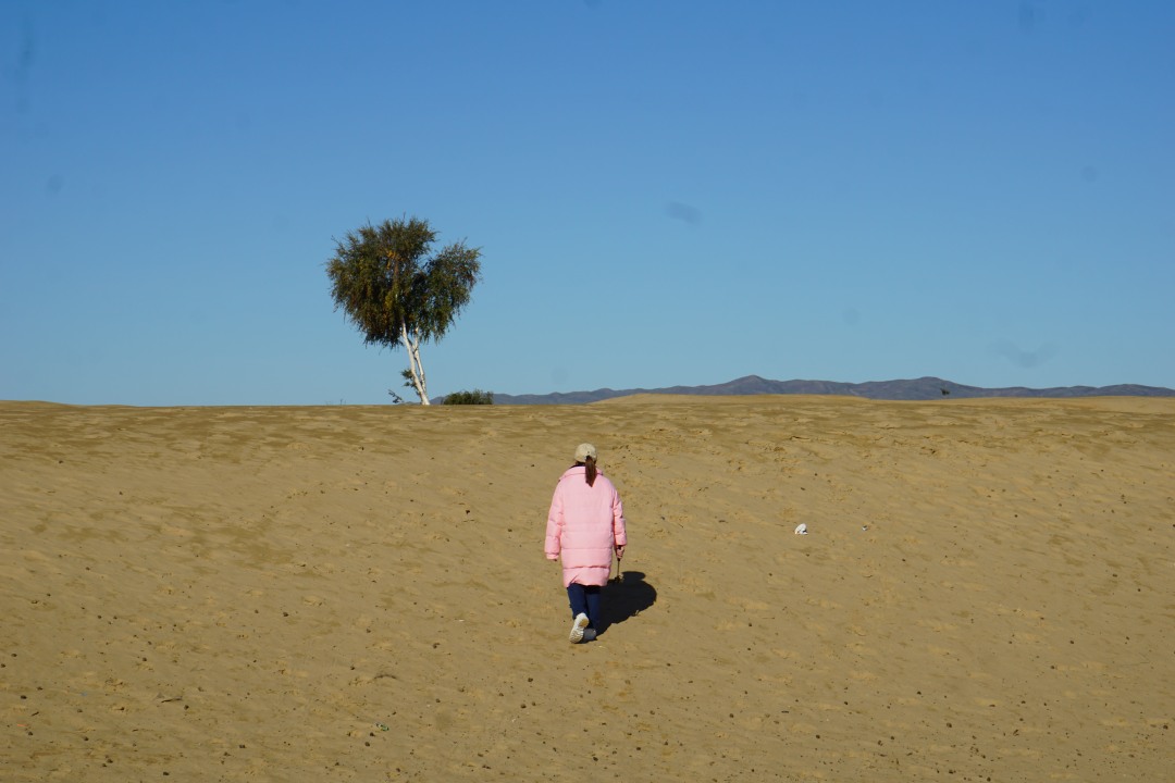 Khustain Nuruu National Park, Elsentasarhai sand dunes, Ungun Temple hike