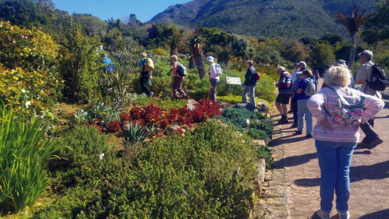 Kirstenbosch National Botanical Garden, the eastern foot of Table Mountain, Cape Town
