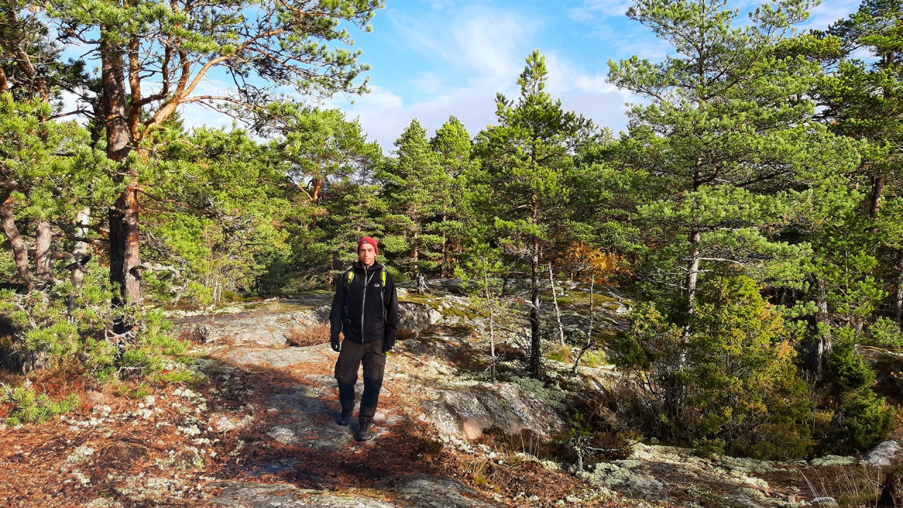 Porkkala Peninsula, archipelago coastline, seaside picnic