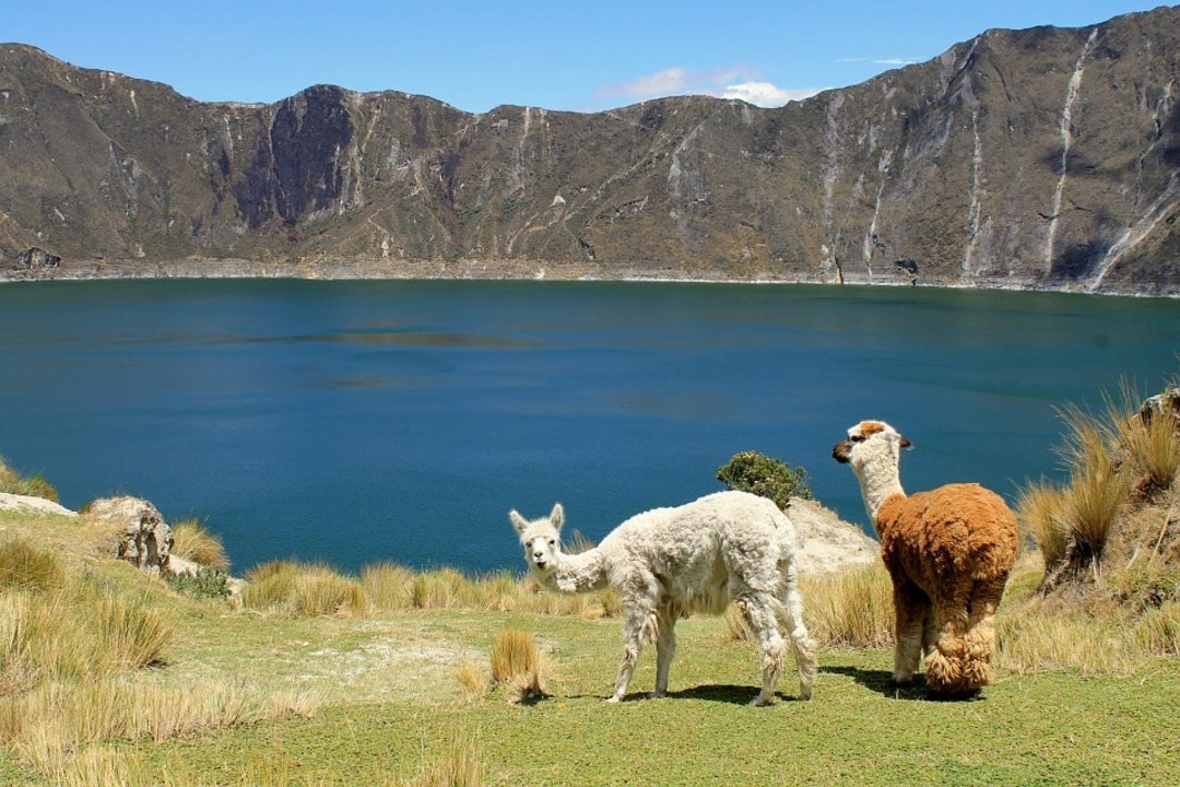 Quito Old Town, Cotopaxi National Park, Quilotoa Lake, Amazon rainforest