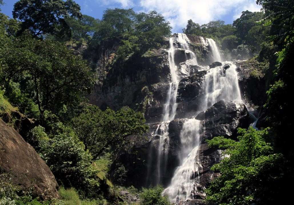 Mikumi National Park, baobabs and black hardwood trees, Sanje Waterfalls, Kilombero Valley