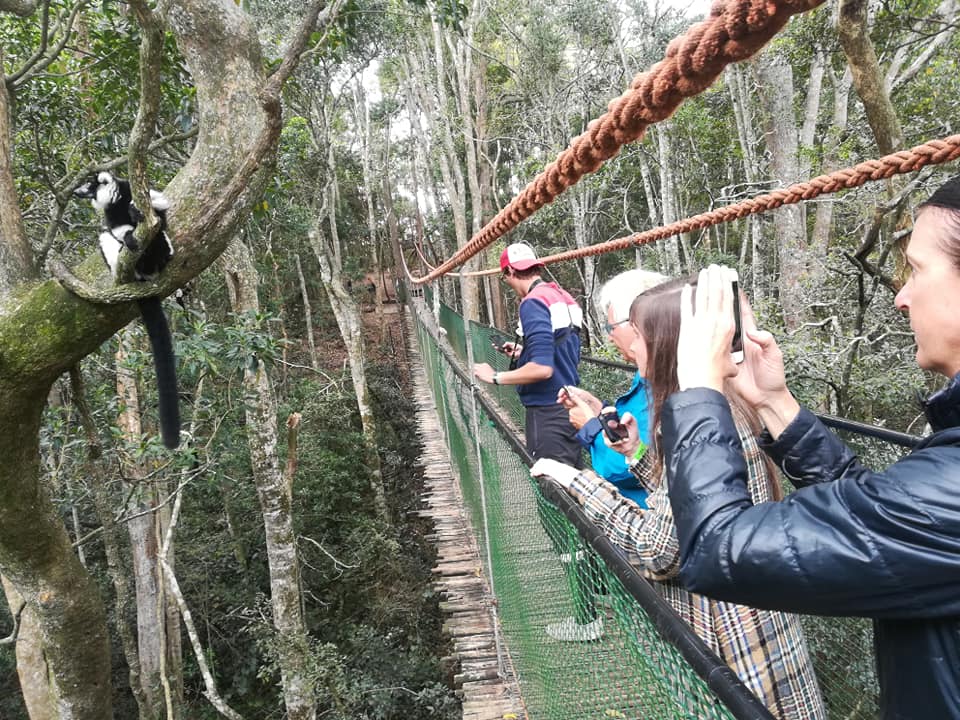Tsitsikamma National Park, Storms River Bridge, Bloukrans Bridge, Birds of Eden