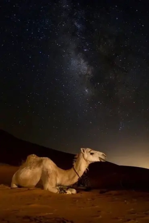 Djingarey Ber, Sankore, Sidi Yehia, dunes de sable au coucher du soleil