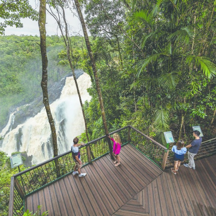 Daintree Rainforest, Barron Falls lookout, Palm Cove
