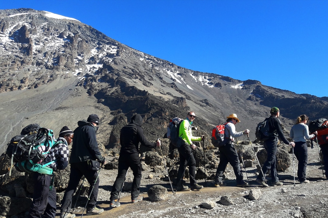 Shira Plateau, Lava Tower scree, Uhuru Peak sunrise, Mweka Gate forest descent