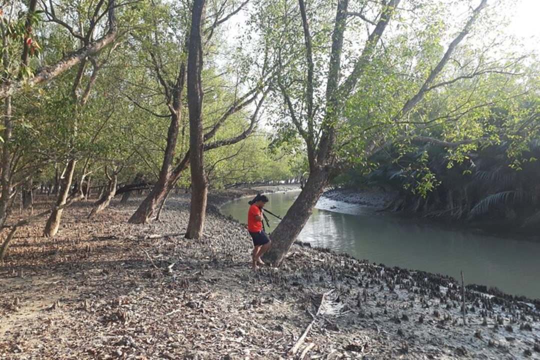 Sundarbans waterways, Kotka Forest Station, Jamtola Beach