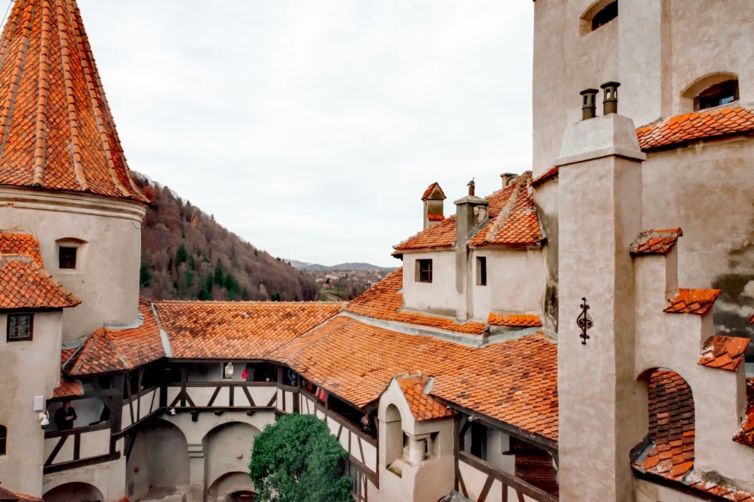 Bran Castle, Libearty Bear Sanctuary, Carpathian Mountains, Făgăraș Mountains