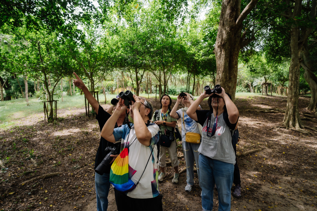 Butterfly Garden and Insectarium, MRT Chatuchak Station, city parks
