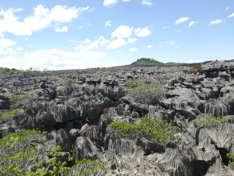 tsingy de l'Ankarana, canyons et des falaises de tsingy, grottes souterraines du parc