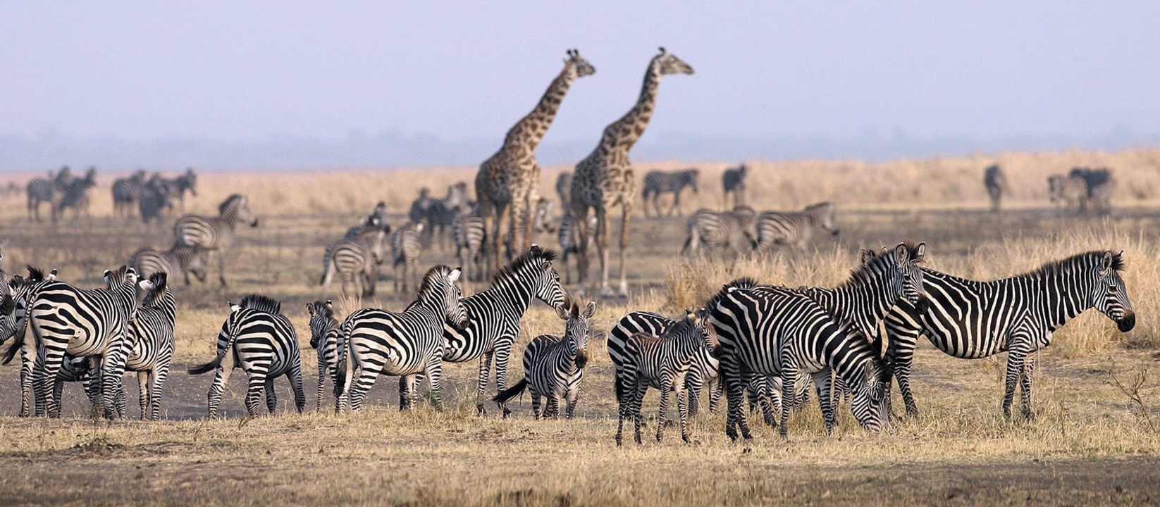 hot air balloon safari over the Serengeti plains, Maasai village encounters, Ngorongoro Conservation Area highlands