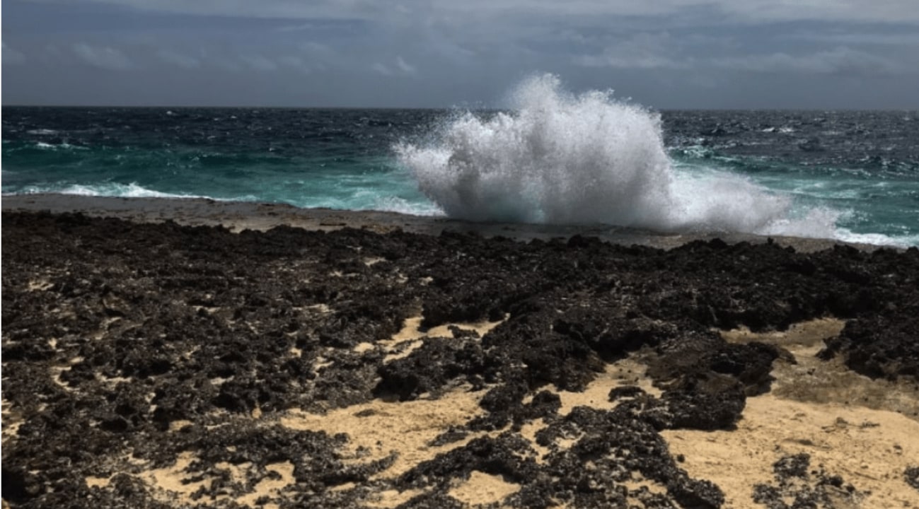 Bonaire Washington Slagbaai National Park, hidden caves, salt lakes, pristine beaches