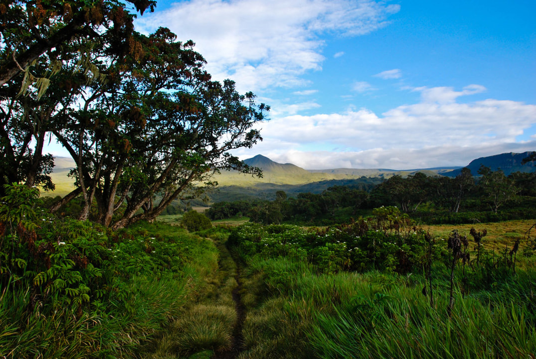 Sirimon Gate forest, Old Moses Camp heathland, Point Lenana sunrise, Chogoria canyon scenery
