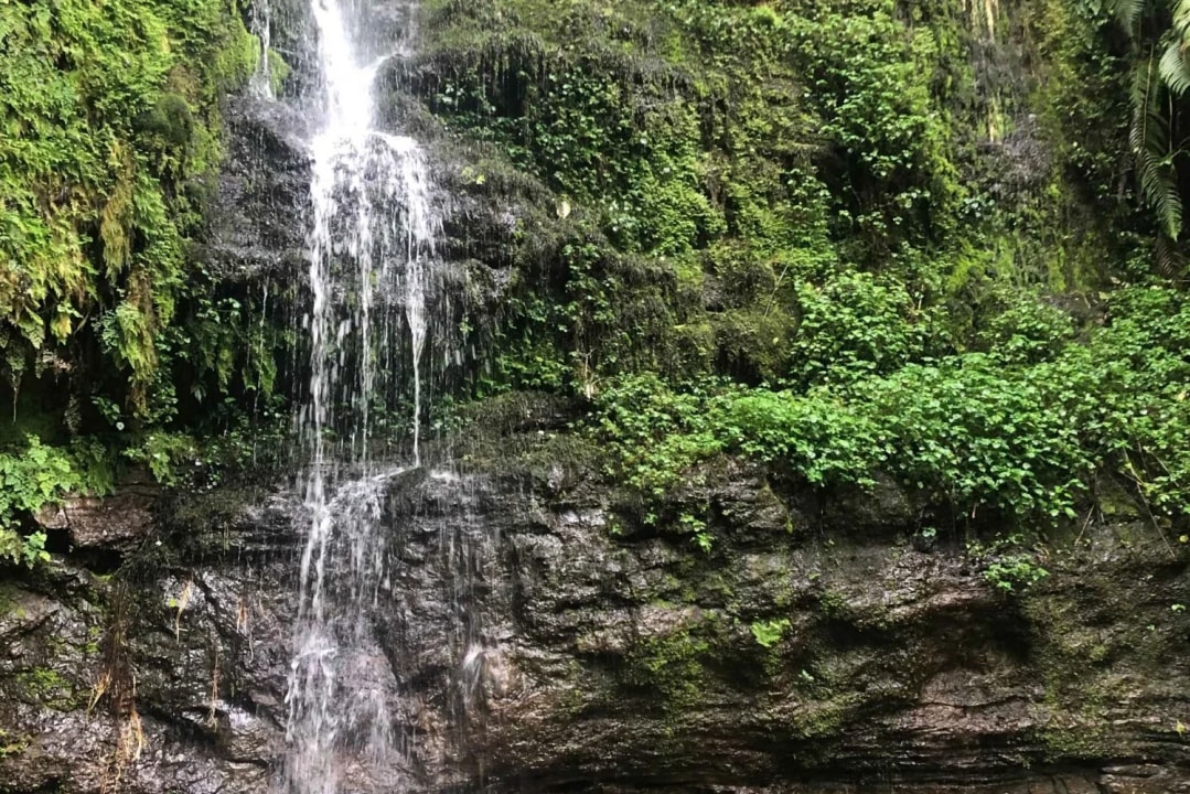 Napuru Waterfalls, Mount Meru's foothills, local villages, forest trails