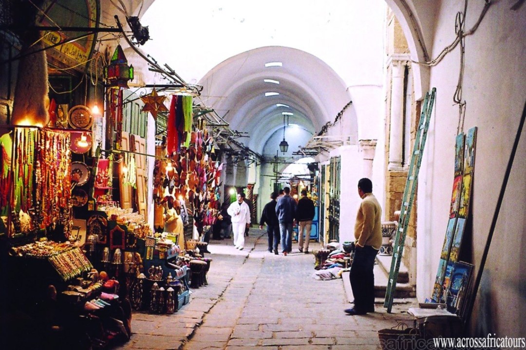 Medina of Tunis alleys, Bardo National Museum, Site archéologique de Carthage ruins, Sidi Bou Said blue doors and white walls