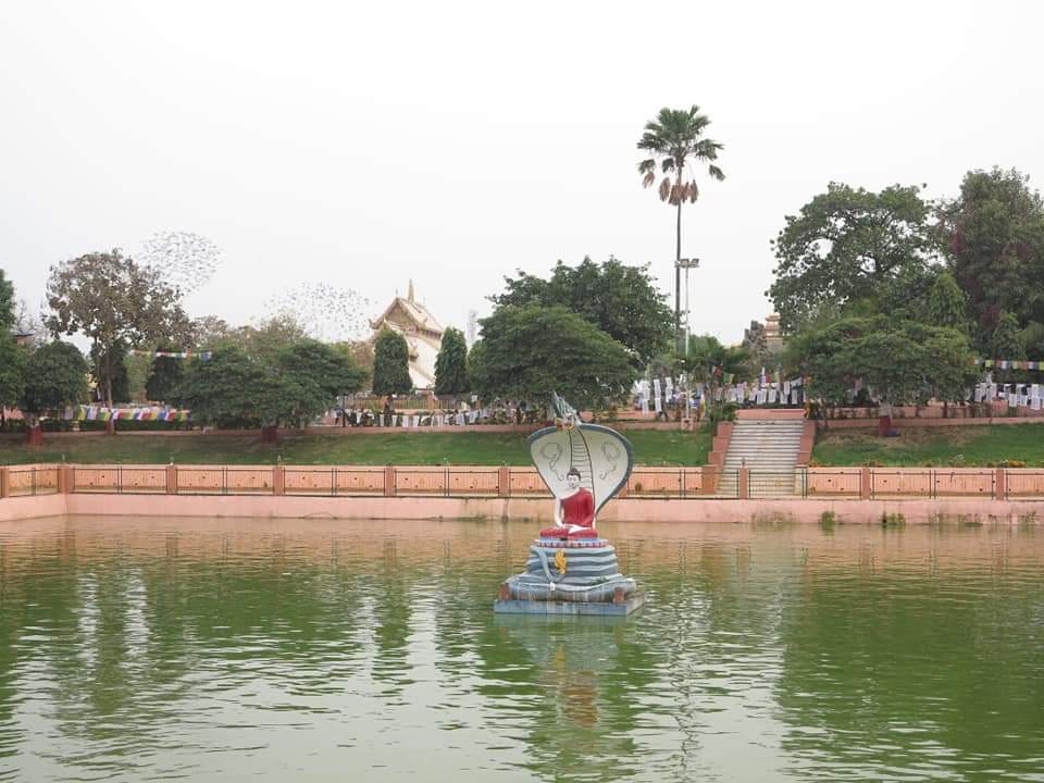 Mahabodhi Temple Complex, giant Buddha statue, Sujata Stupa