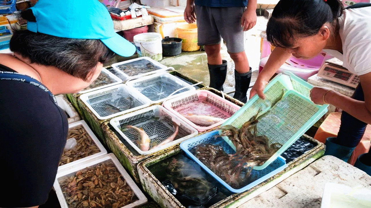 Guangzhou Seafood Market, live seafood stalls, scenic Shamian Island