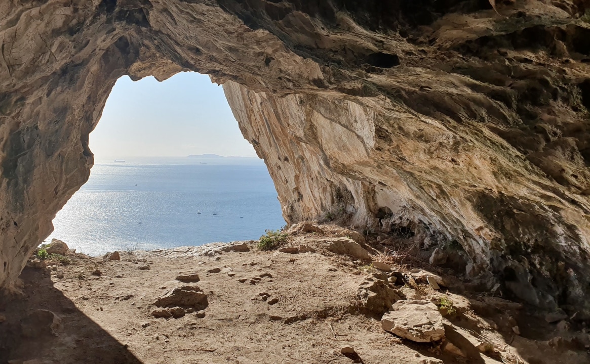 Apes Den and Barbary macaques, St Michael's Cave, Pillars of Hercules