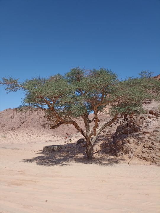 Mountains of Wadi Ghazala, Colored Canyon cliffs, seaside Dahab City