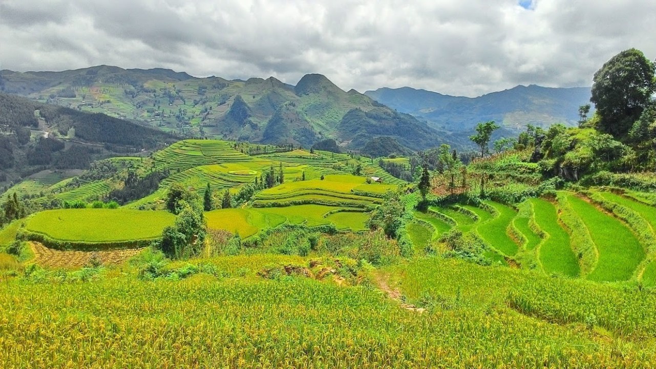Green highlands of Bắc Hà, Tả Văn Chư H'mông village, Lùng Phình mountain trails