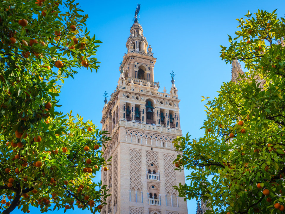 Plaza de España, The Giralda, The Torre del Oro