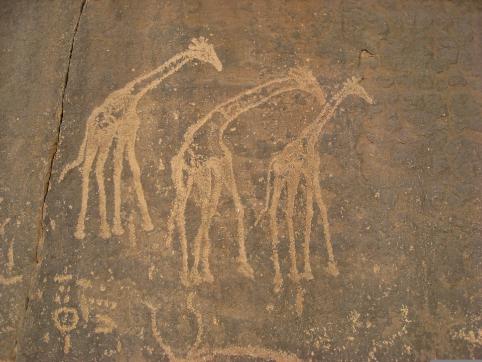 Tadrart plateau, dunes of Moul N'Aga, arches of Tehe Tahoussait, Imesnegha caves