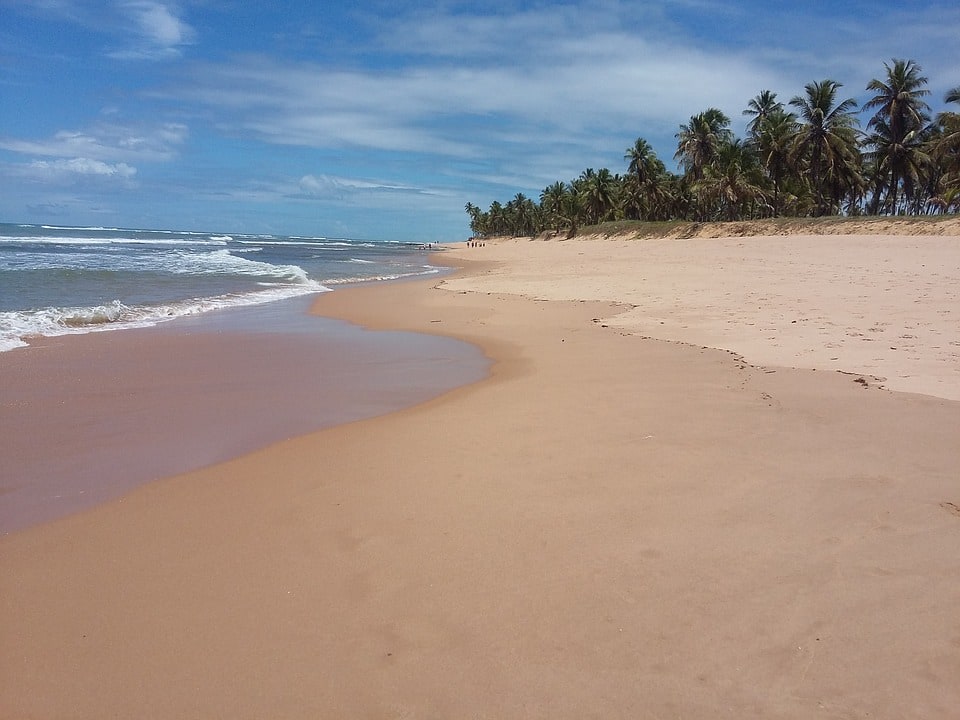 Coconut Coast, Praia do Forte, TAMAR Project, Fort of Garcia D'Ávila